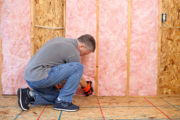 Best Insulation Installation Services in Apple Valley, OH